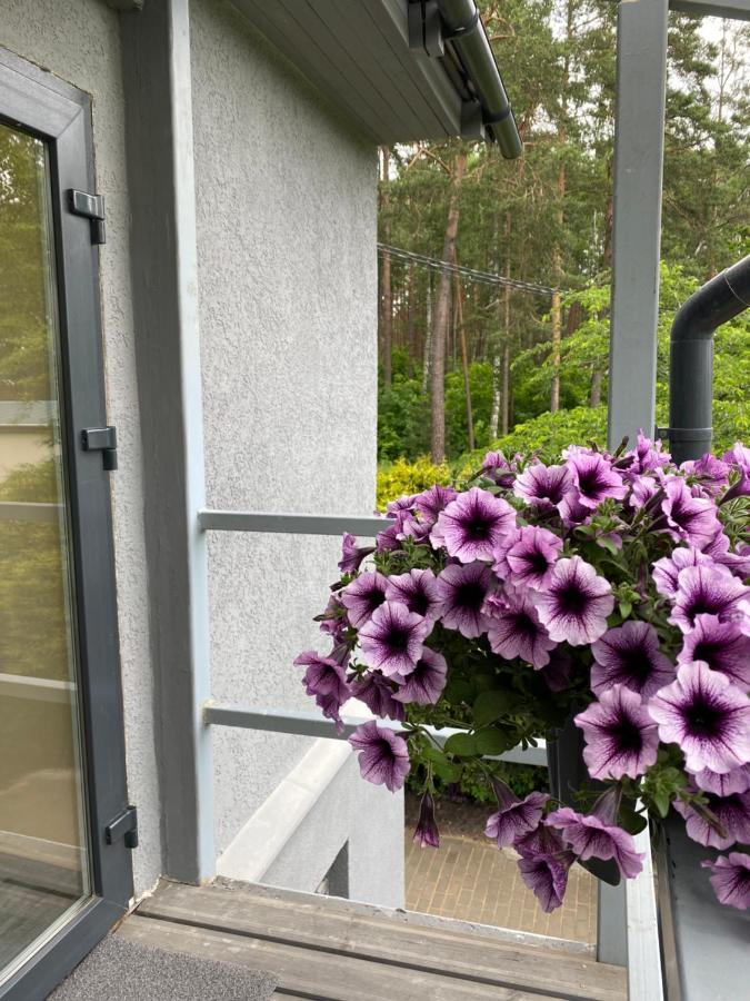 9 Mezmalas Iela Jūrkalne Exteriér fotografie